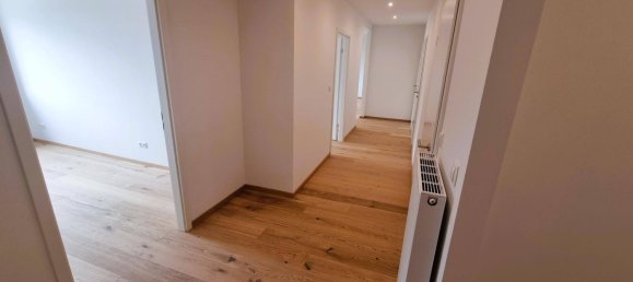 2 bedrooms Apartment in Maria Enzersdorf, Austria No. 151223 7