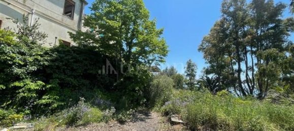 Gebäude in San Gregorio di Catania, Italy 12500m², Nr. 354988 10