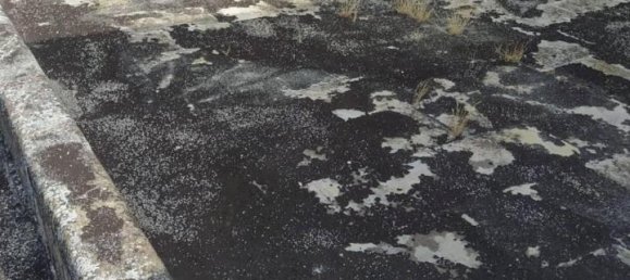 13-salle Bâtiment à Sava, Italy No. 25746 19