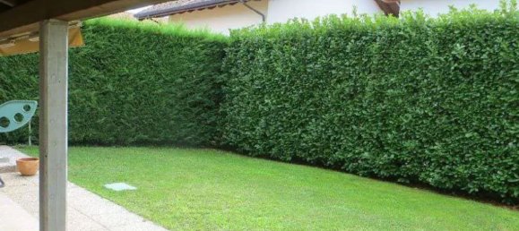 3-Zimmer Haus in Cogliate, Italy, Nr. 3617 3