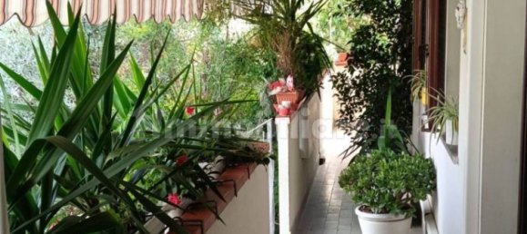 1 bedroom Apartment in Bientina, Italy No. 272503 11