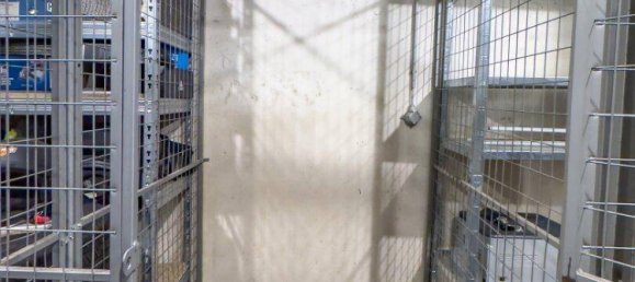 2 rooms Apartment in Modling, Austria No. 180216 12