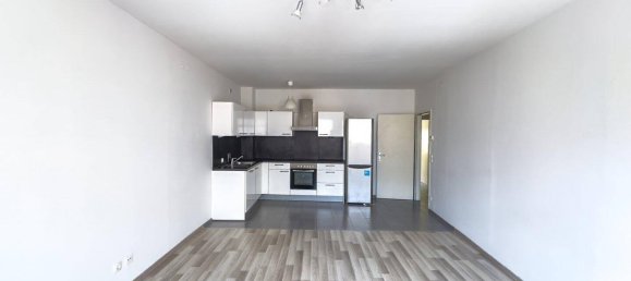 2 rooms Apartment in Modling, Austria No. 180216 3