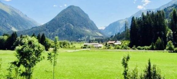 2054m² Land in Neukirchen am Grossvenediger, Austria No. 224521 4