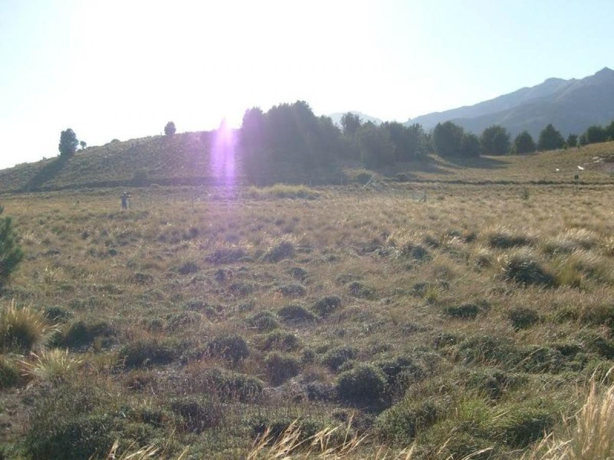  Land in Neuquen, Argentina No. 33384