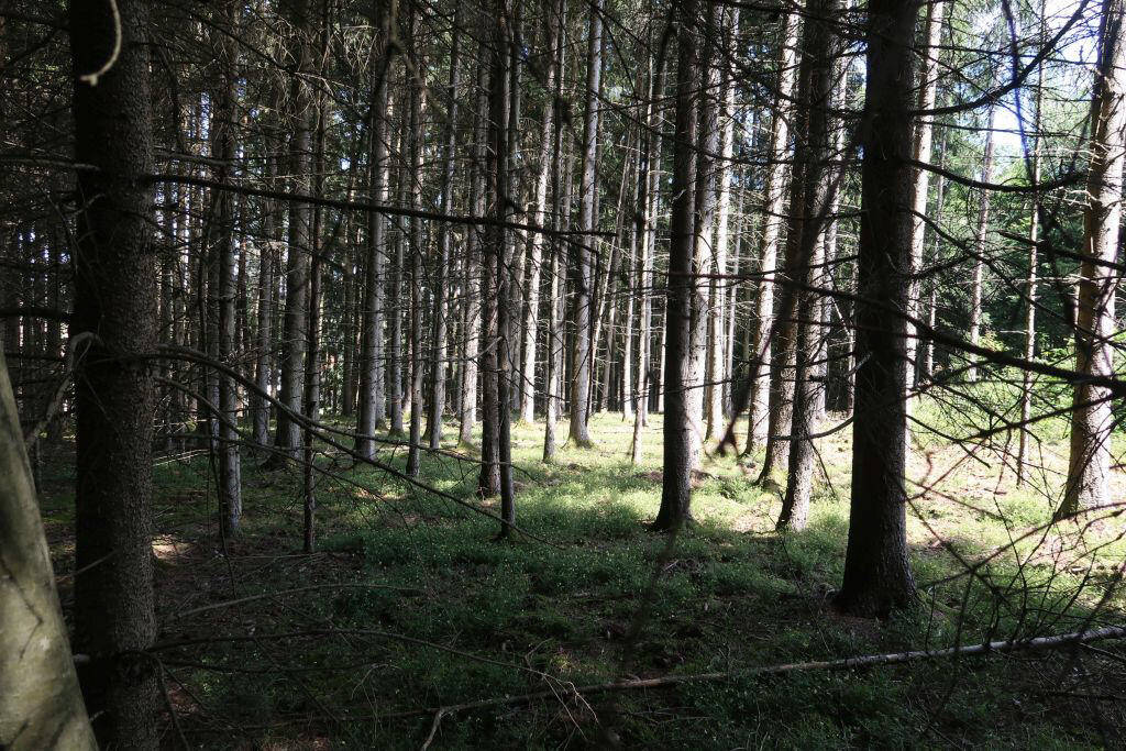  Land in Dingolfing-Landau, Germany No. 316805