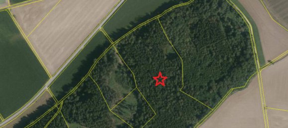  Land in Dingolfing-Landau, Germany No. 316805 3