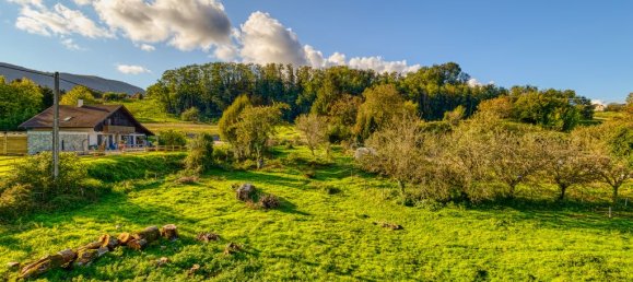 4 bedrooms House in Vimines, France No. 201789 3