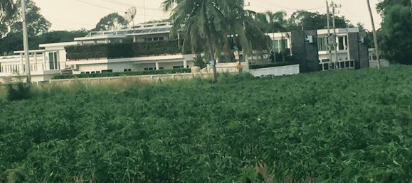 Café/restaurante de 5 dormitorios en Pattaya, Thailand No. 20045 20