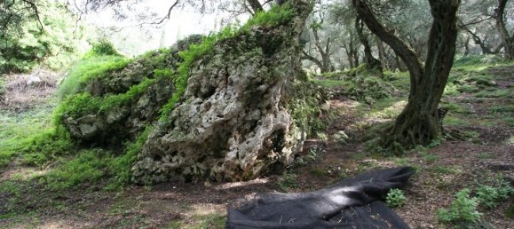 40000m² hôtel à vendre à Corfu, Central Corfu and Diapontian Islands, Corfu, Ionian Islands, Peloponnese, Western Greece and the Ionian, Greece № 7375 17