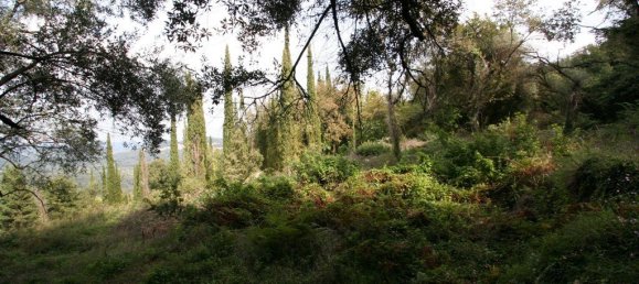 40000m² Hotel in Corfu, Greece No. 7375 12