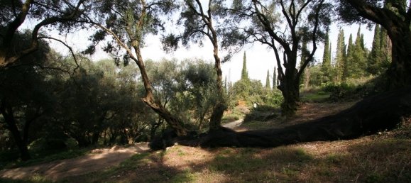 40000m² Hotel in Corfu, Greece No. 7375 3