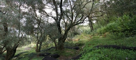 40000m² Hotel in Corfu, Greece No. 7375 13