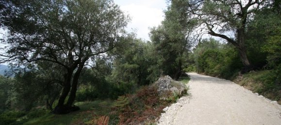 40000m² Hotel in Corfu, Greece No. 7375 15