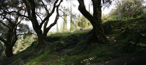 40000m² Hotel in Corfu, Greece No. 7375 10