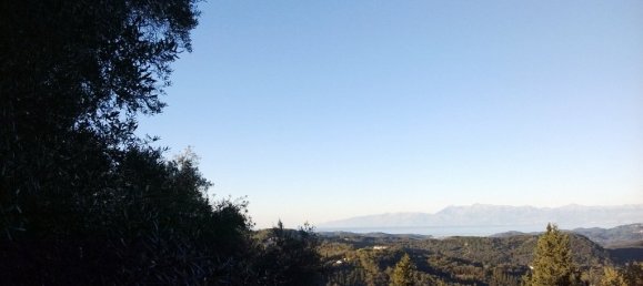 40000m² Hotel in Corfu, Greece No. 7375 23