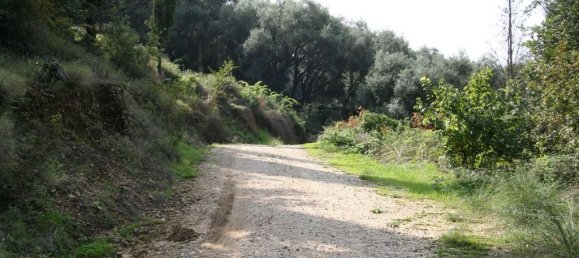 40000m² hôtel à vendre à Corfu, Central Corfu and Diapontian Islands, Corfu, Ionian Islands, Peloponnese, Western Greece and the Ionian, Greece № 7375 4