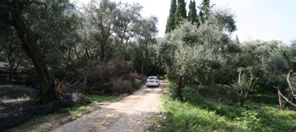 40000m² Hotel in Corfu, Greece No. 7375 9