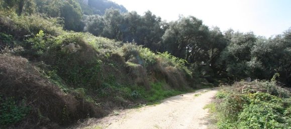 40000m² Hotel in Corfu, Greece No. 7375 11