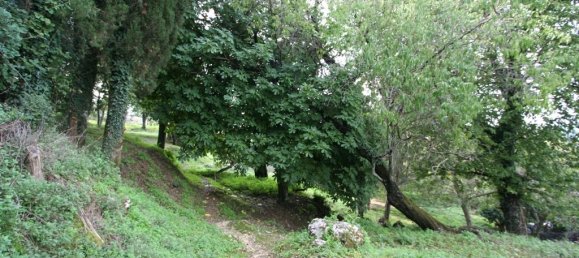 40000m² Hotel in Corfu, Greece No. 7375 16