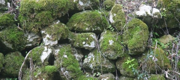 40000m² Hotel in Corfu, Greece No. 7375 20