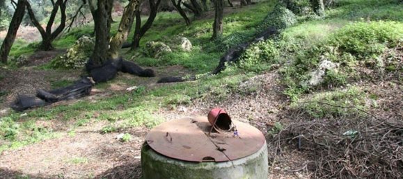 40000m² Hotel in Corfu, Greece No. 7375 19