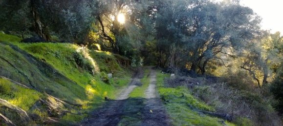 40000m² Hotel in Corfu, Greece No. 7375 24