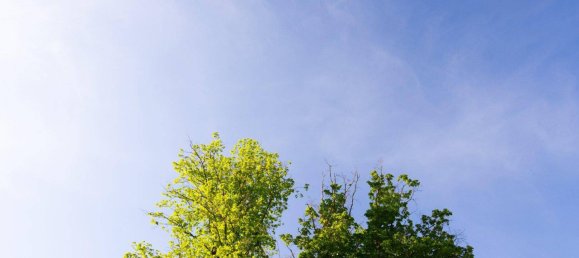 Apartamento de 2 divisões em Alland, Austria N.º 183600 13