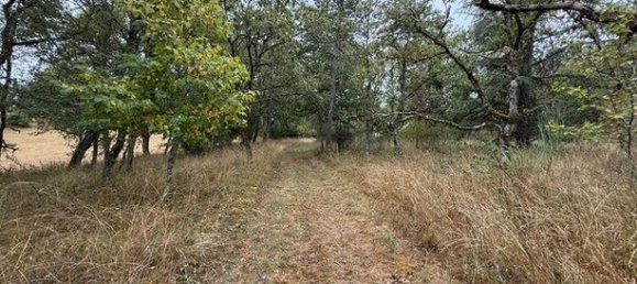 2 bedrooms House in Lot, France No. 304859 2