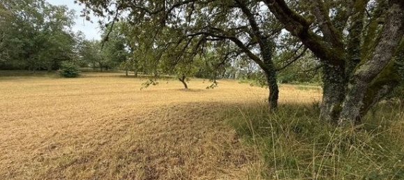 2 bedrooms House in Lot, France No. 304859 5