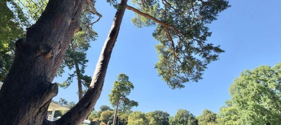 2غرفة شقة في Meidling, Austria رقم 261355 2