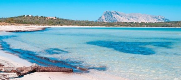 Apartamento T3 em San Teodoro, Italy N.º 373921 2