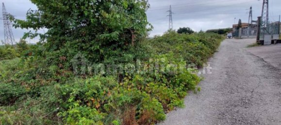 قطعة أرض في Lamporecchio, Italy 54000متر مربع رقم 100818 10