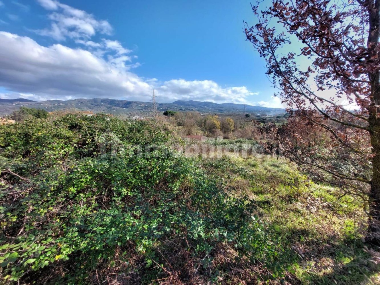  قطعة أرض في Lamporecchio, Italy 54000متر مربع رقم 100818