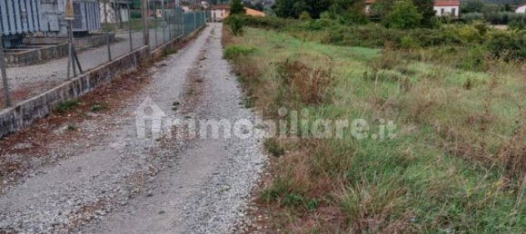 قطعة أرض في Lamporecchio, Italy 54000متر مربع رقم 100818 14