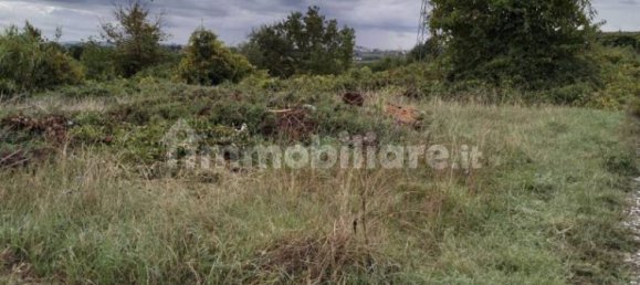 قطعة أرض في Lamporecchio, Italy 54000متر مربع رقم 100818 8