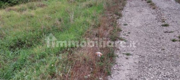 قطعة أرض في Lamporecchio, Italy 54000متر مربع رقم 100818 3