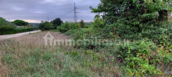 قطعة أرض في Lamporecchio, Italy 54000متر مربع رقم 100818 16