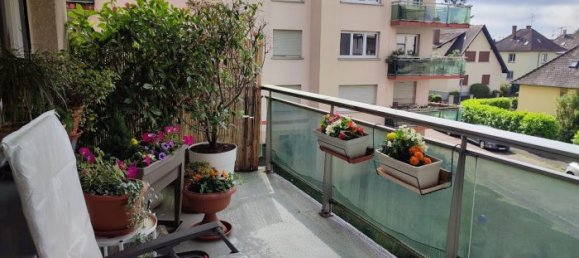 2 bedrooms Apartment in Schiltigheim, France No. 275723 3