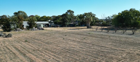 Grundstück in Waikerie, Australia 22220m², Nr. 611 5