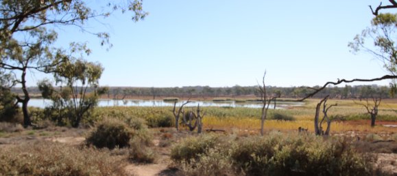 Grundstück in Waikerie, Australia 22220m², Nr. 611 22