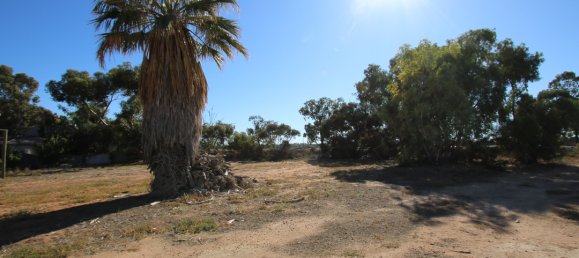 Grundstück in Waikerie, Australia 22220m², Nr. 611 17
