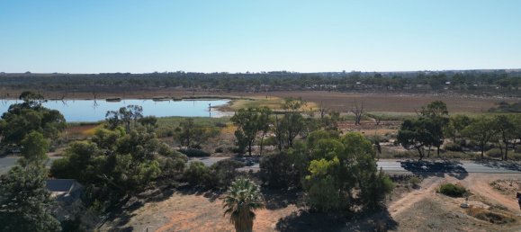 Grundstück in Waikerie, Australia 22220m², Nr. 611 21