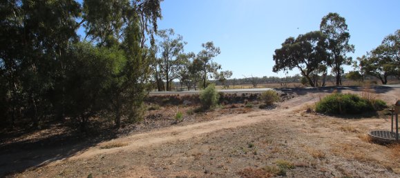 Grundstück in Waikerie, Australia 22220m², Nr. 611 18