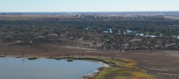 Grundstück in Waikerie, Australia 22220m², Nr. 611 20