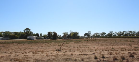 Grundstück in Waikerie, Australia 22220m², Nr. 611 9
