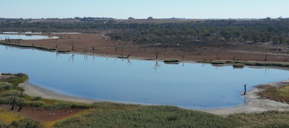 Grundstück in Waikerie, Australia 22220m², Nr. 611 19