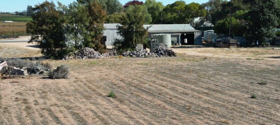 Grundstück in Waikerie, Australia 22220m², Nr. 611 2