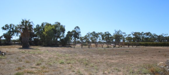 Grundstück in Waikerie, Australia 22220m², Nr. 611 16