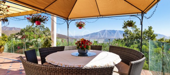 5 chambres Villa à Marbella, Spain No. 36907 8